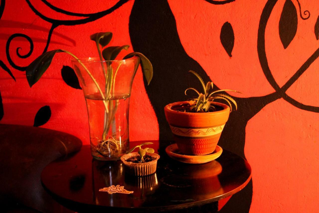 Hostal Musica Y Arte San Agustín Kültér fotó